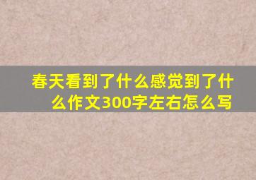 春天看到了什么感觉到了什么作文300字左右怎么写