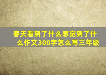 春天看到了什么感觉到了什么作文300字怎么写三年级