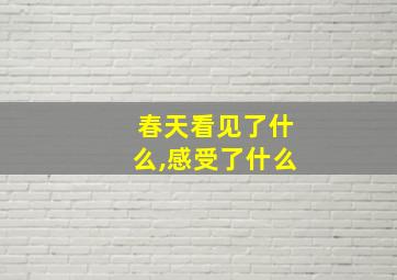 春天看见了什么,感受了什么