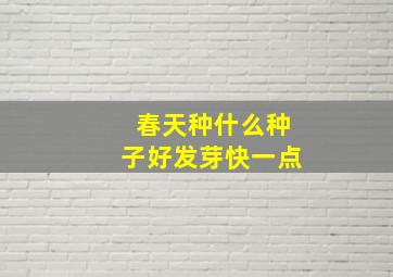 春天种什么种子好发芽快一点