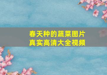 春天种的蔬菜图片真实高清大全视频