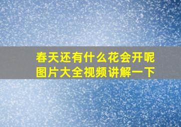 春天还有什么花会开呢图片大全视频讲解一下