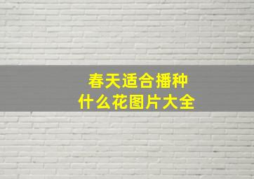 春天适合播种什么花图片大全