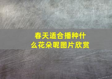 春天适合播种什么花朵呢图片欣赏