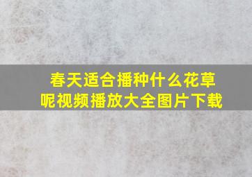 春天适合播种什么花草呢视频播放大全图片下载