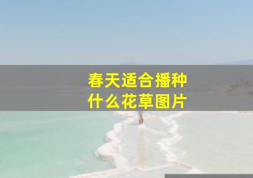 春天适合播种什么花草图片