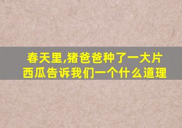 春天里,猪爸爸种了一大片西瓜告诉我们一个什么道理