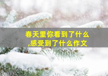 春天里你看到了什么,感受到了什么作文