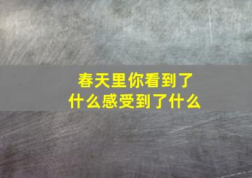 春天里你看到了什么感受到了什么