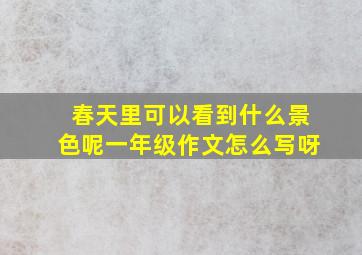 春天里可以看到什么景色呢一年级作文怎么写呀