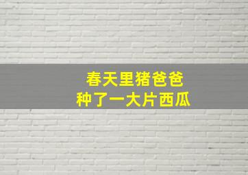 春天里猪爸爸种了一大片西瓜