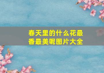 春天里的什么花最香最美呢图片大全