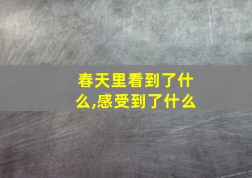 春天里看到了什么,感受到了什么