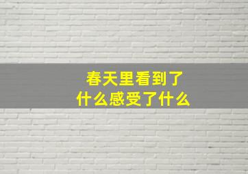 春天里看到了什么感受了什么