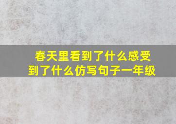 春天里看到了什么感受到了什么仿写句子一年级