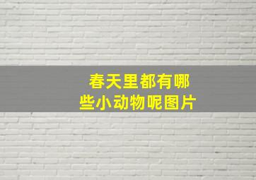 春天里都有哪些小动物呢图片