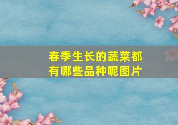 春季生长的蔬菜都有哪些品种呢图片