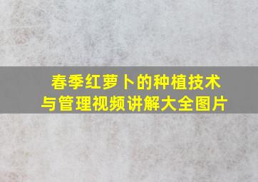 春季红萝卜的种植技术与管理视频讲解大全图片