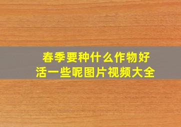 春季要种什么作物好活一些呢图片视频大全