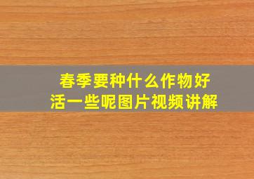 春季要种什么作物好活一些呢图片视频讲解