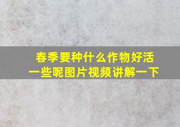 春季要种什么作物好活一些呢图片视频讲解一下