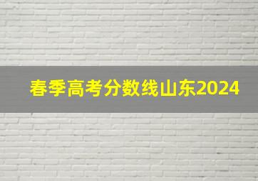 春季高考分数线山东2024