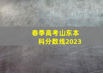 春季高考山东本科分数线2023