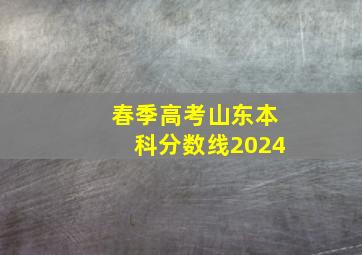 春季高考山东本科分数线2024