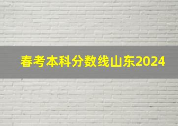 春考本科分数线山东2024