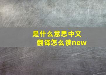 是什么意思中文翻译怎么读new