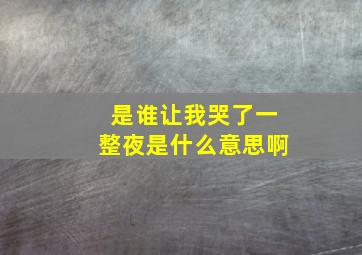 是谁让我哭了一整夜是什么意思啊