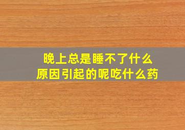 晚上总是睡不了什么原因引起的呢吃什么药