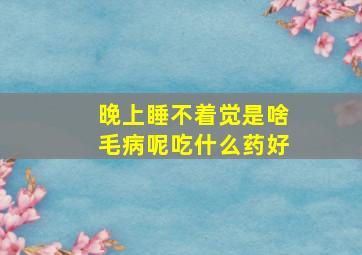 晚上睡不着觉是啥毛病呢吃什么药好