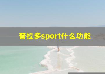 普拉多sport什么功能