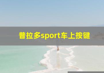 普拉多sport车上按键