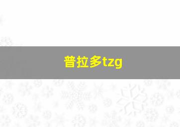 普拉多tzg