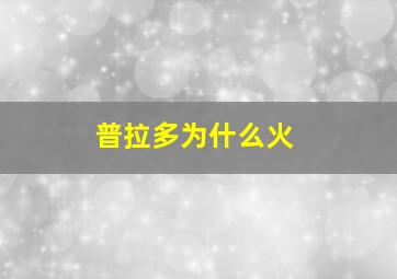 普拉多为什么火