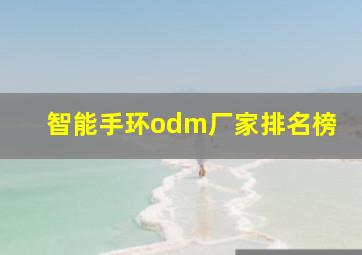 智能手环odm厂家排名榜