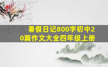 暑假日记800字初中20篇作文大全四年级上册