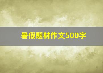 暑假题材作文500字