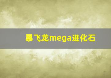 暴飞龙mega进化石