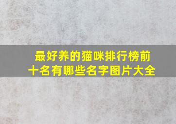 最好养的猫咪排行榜前十名有哪些名字图片大全