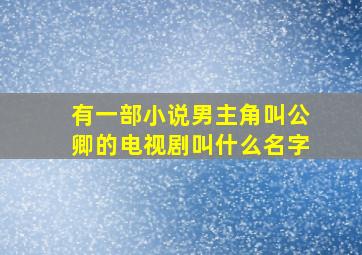 有一部小说男主角叫公卿的电视剧叫什么名字