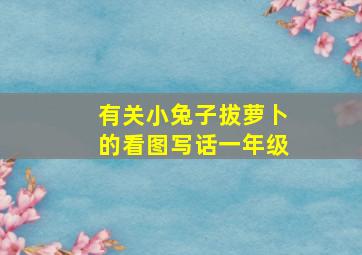 有关小兔子拔萝卜的看图写话一年级