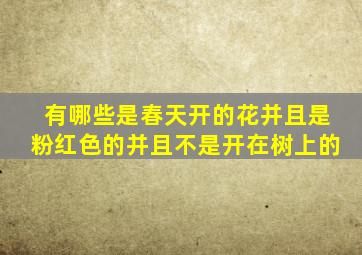 有哪些是春天开的花并且是粉红色的并且不是开在树上的