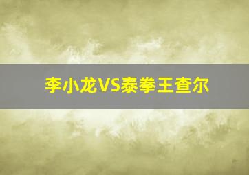 李小龙VS泰拳王查尔