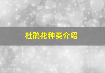 杜鹃花种类介绍