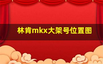 林肯mkx大架号位置图