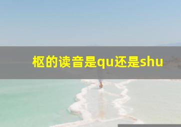 枢的读音是qu还是shu