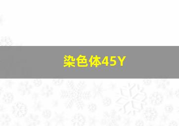 染色体45Y